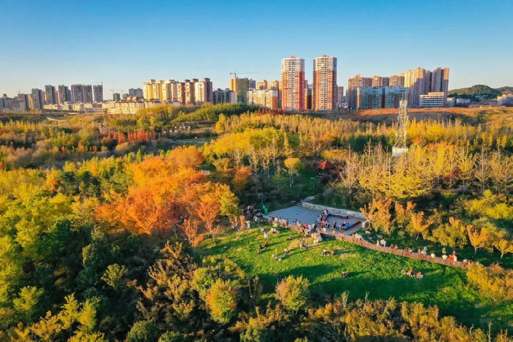 关于印发《涉执房地产处置司法评估指导意见（试行）》的通知
